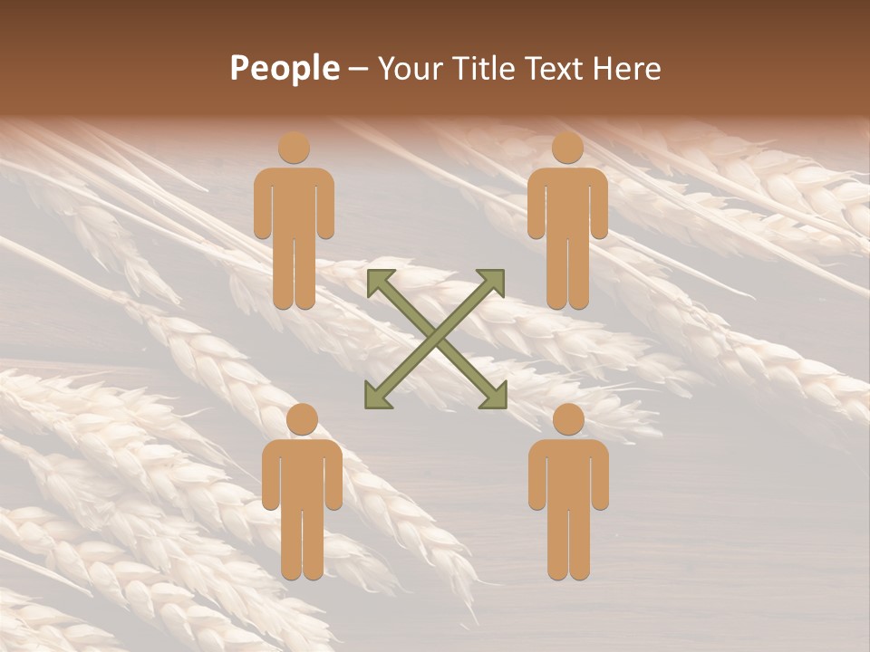 Board Landscape Organic PowerPoint Template