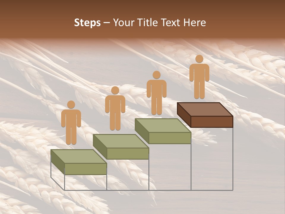 Board Landscape Organic PowerPoint Template