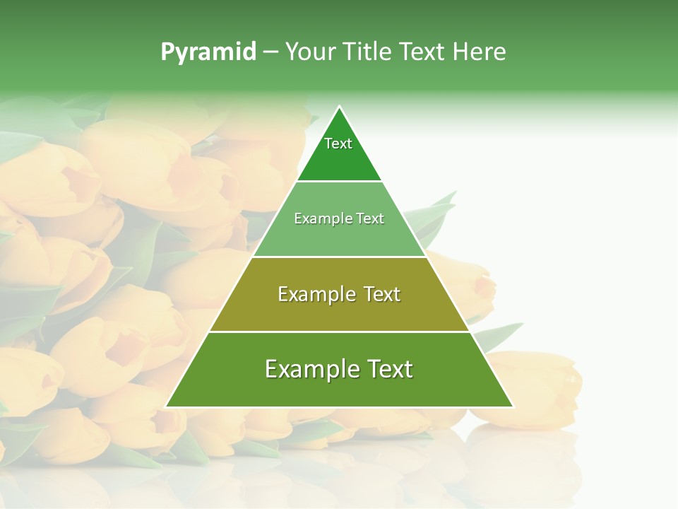 Masculine Muscle Fitness PowerPoint Template