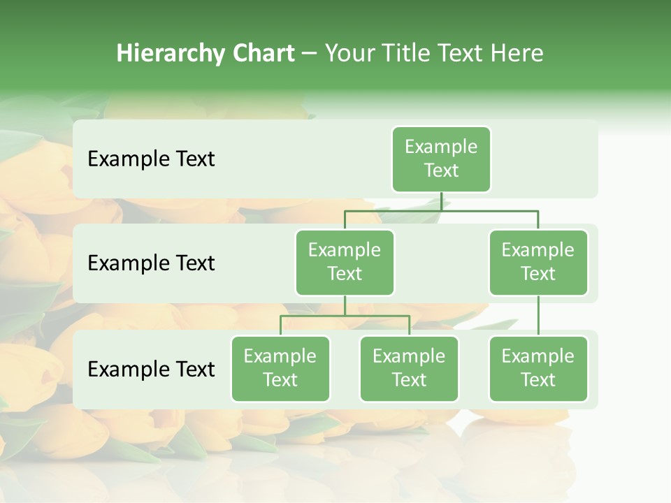 Masculine Muscle Fitness PowerPoint Template