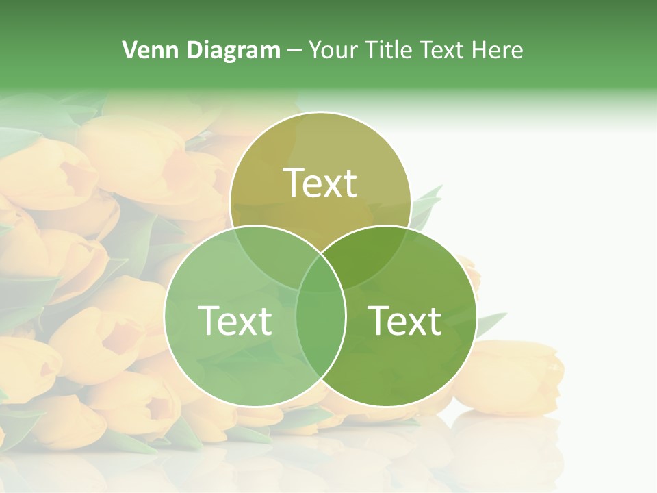 Masculine Muscle Fitness PowerPoint Template