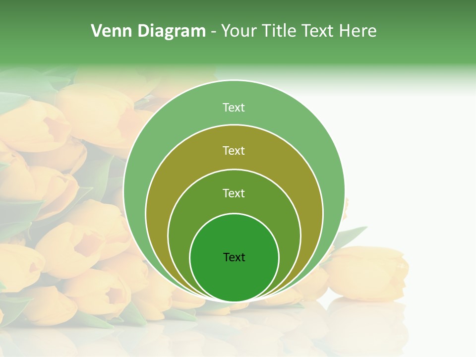 Masculine Muscle Fitness PowerPoint Template