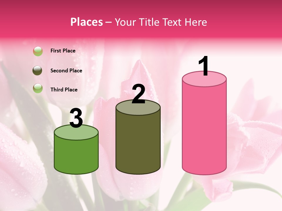 Isolated Macro Pink PowerPoint Template