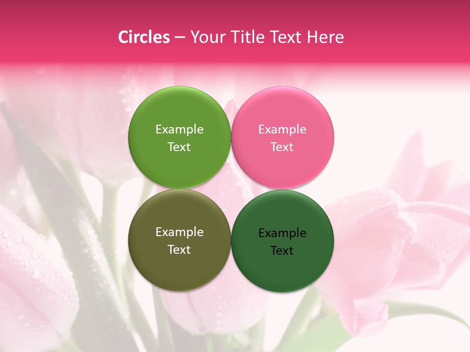Isolated Macro Pink PowerPoint Template