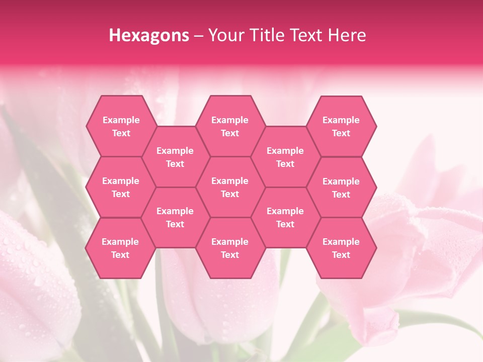 Isolated Macro Pink PowerPoint Template