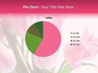 Isolated Macro Pink PowerPoint Template