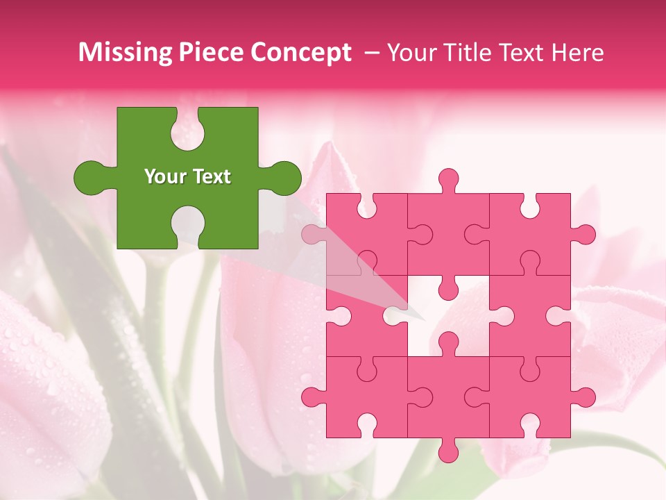 Isolated Macro Pink PowerPoint Template