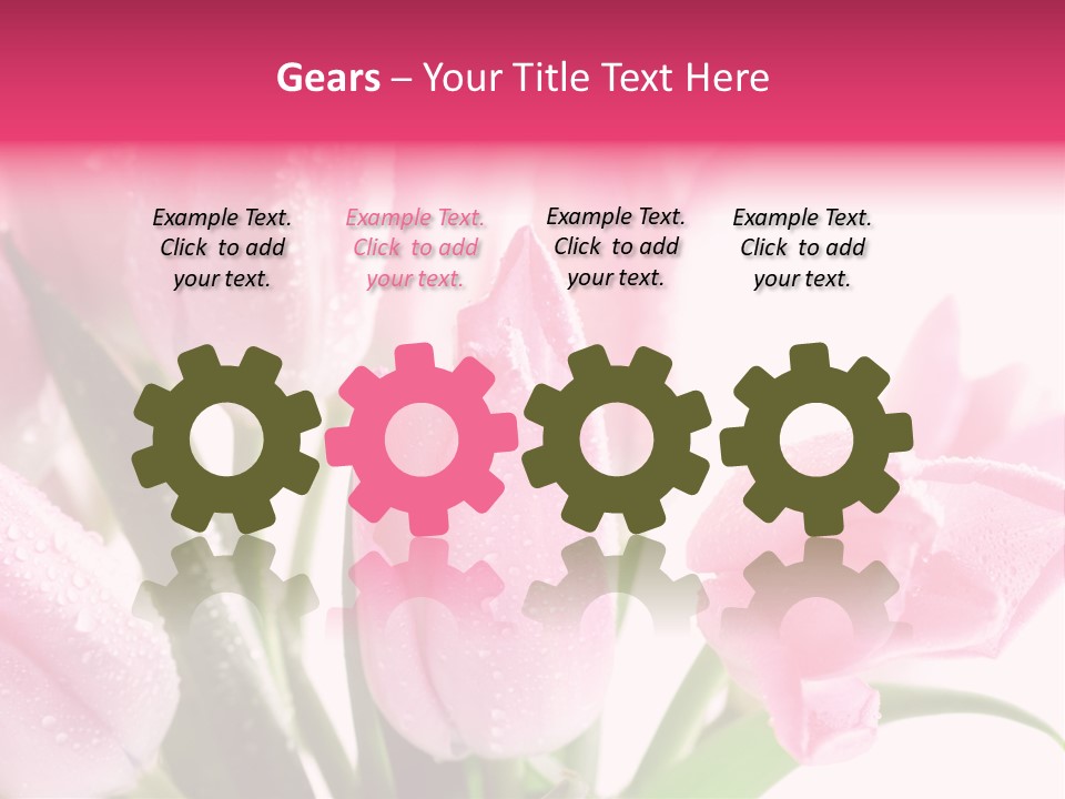 Isolated Macro Pink PowerPoint Template