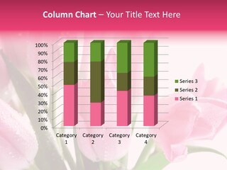 Isolated Macro Pink PowerPoint Template