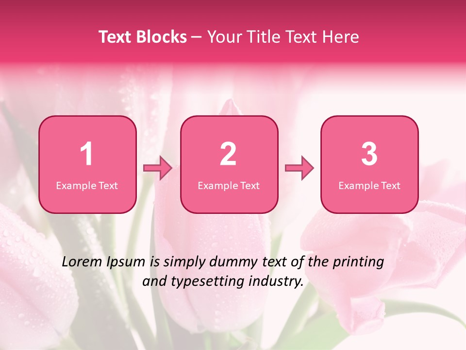 Isolated Macro Pink PowerPoint Template