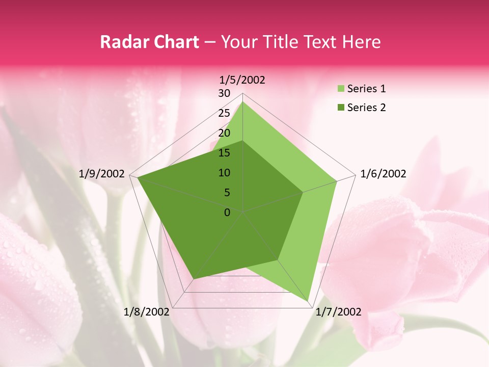 Isolated Macro Pink PowerPoint Template