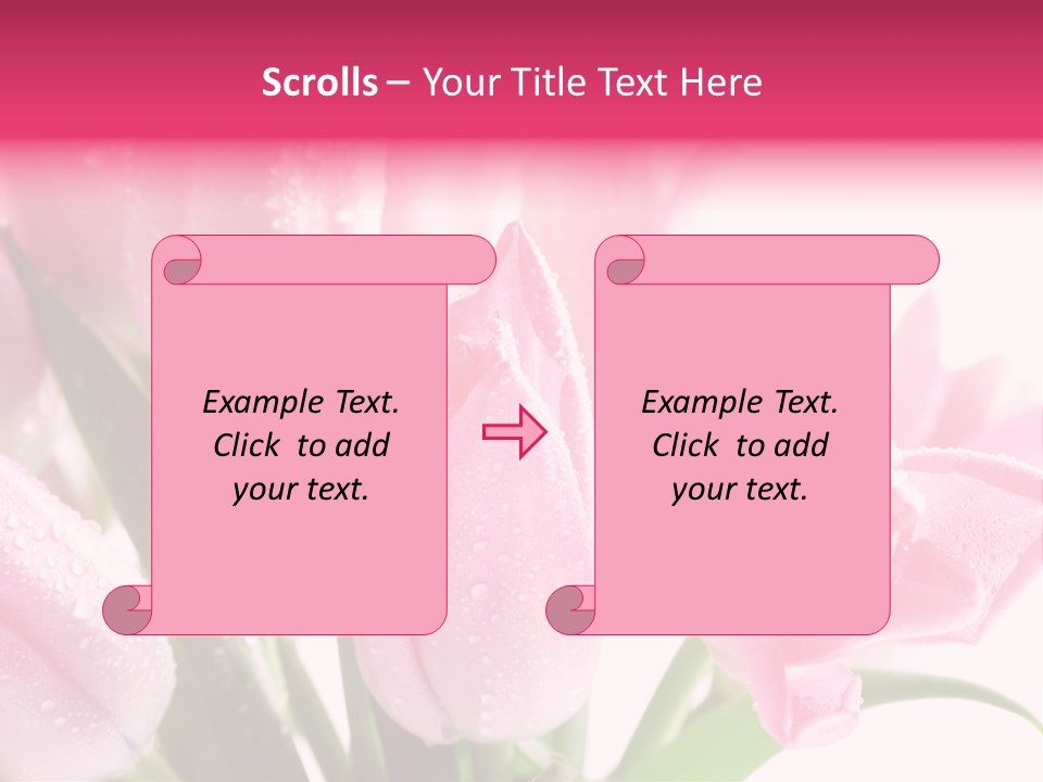 Isolated Macro Pink PowerPoint Template