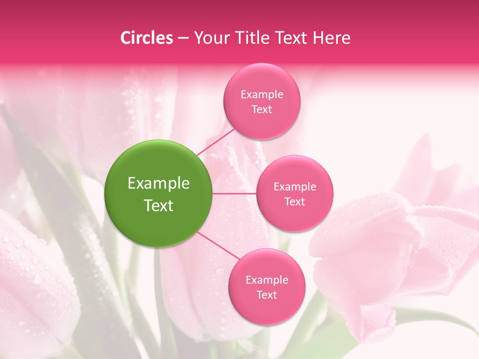 Isolated Macro Pink PowerPoint Template