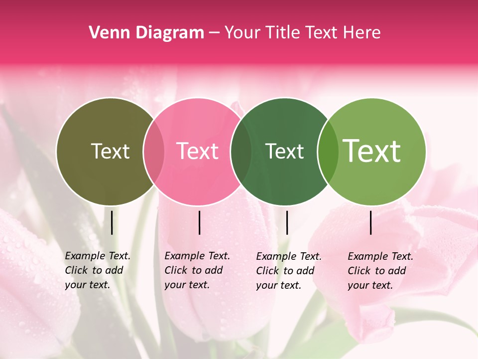 Isolated Macro Pink PowerPoint Template
