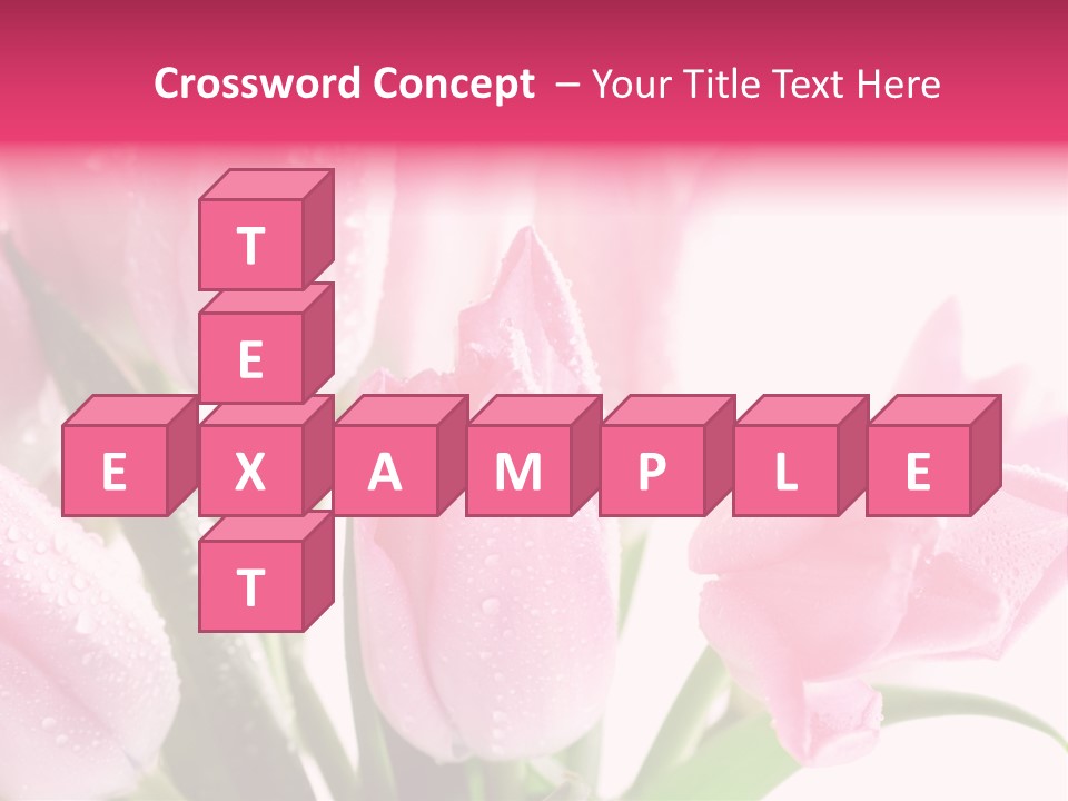 Isolated Macro Pink PowerPoint Template