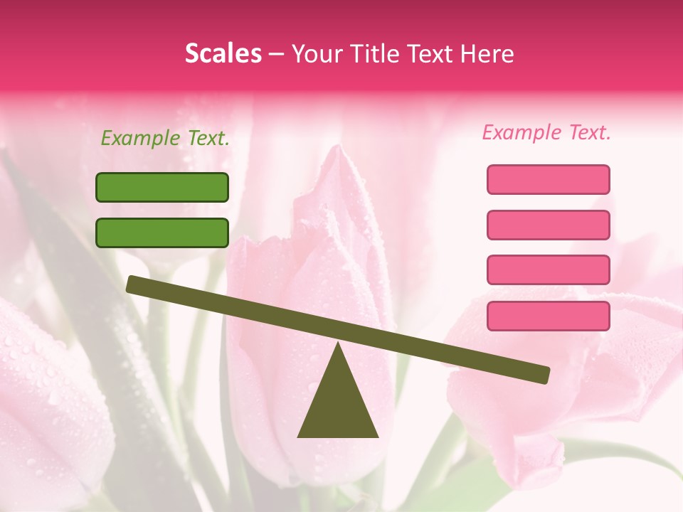 Isolated Macro Pink PowerPoint Template