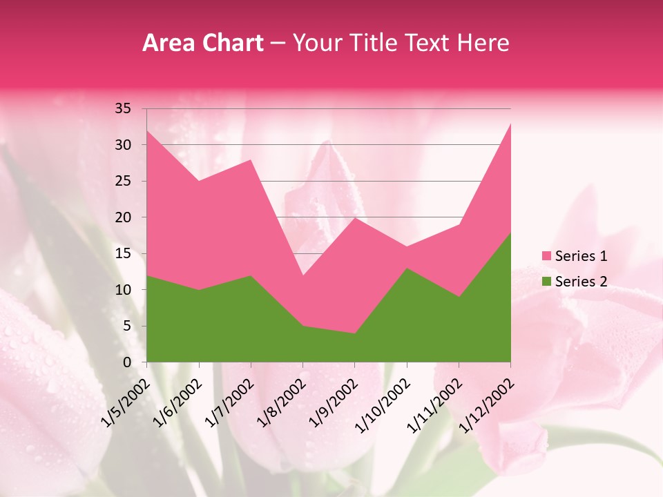 Isolated Macro Pink PowerPoint Template
