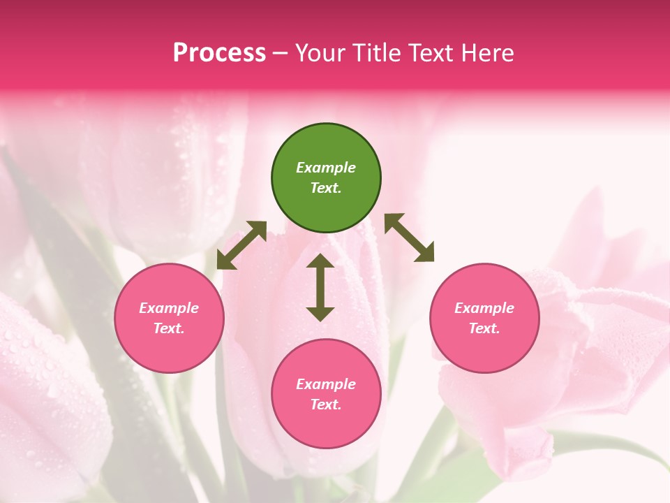 Isolated Macro Pink PowerPoint Template