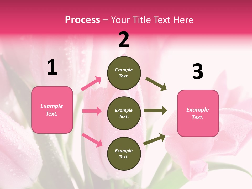 Isolated Macro Pink PowerPoint Template