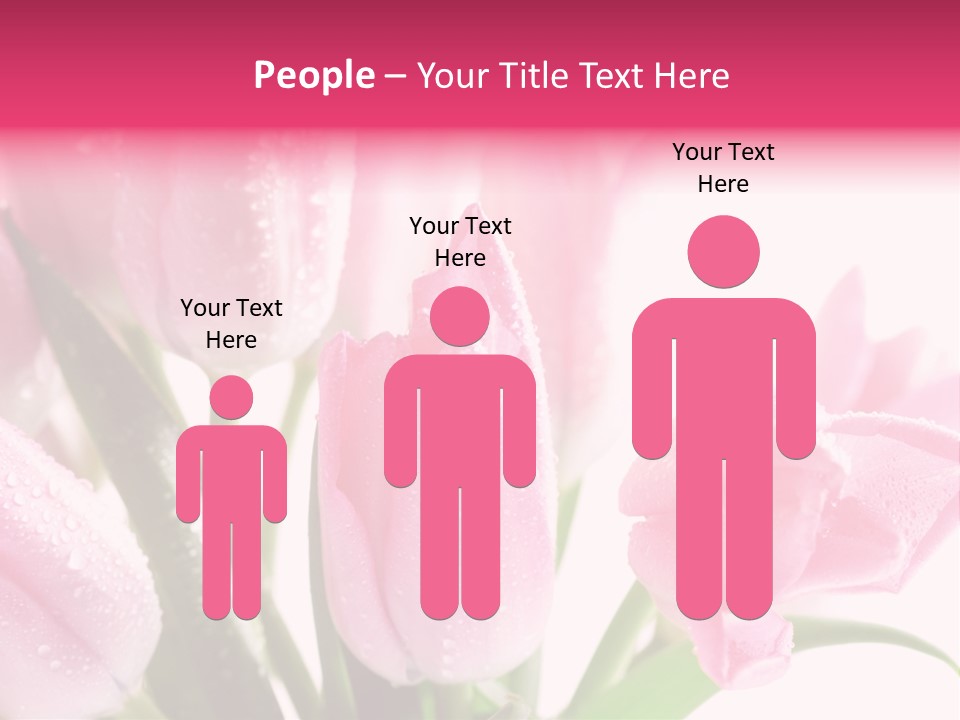Isolated Macro Pink PowerPoint Template