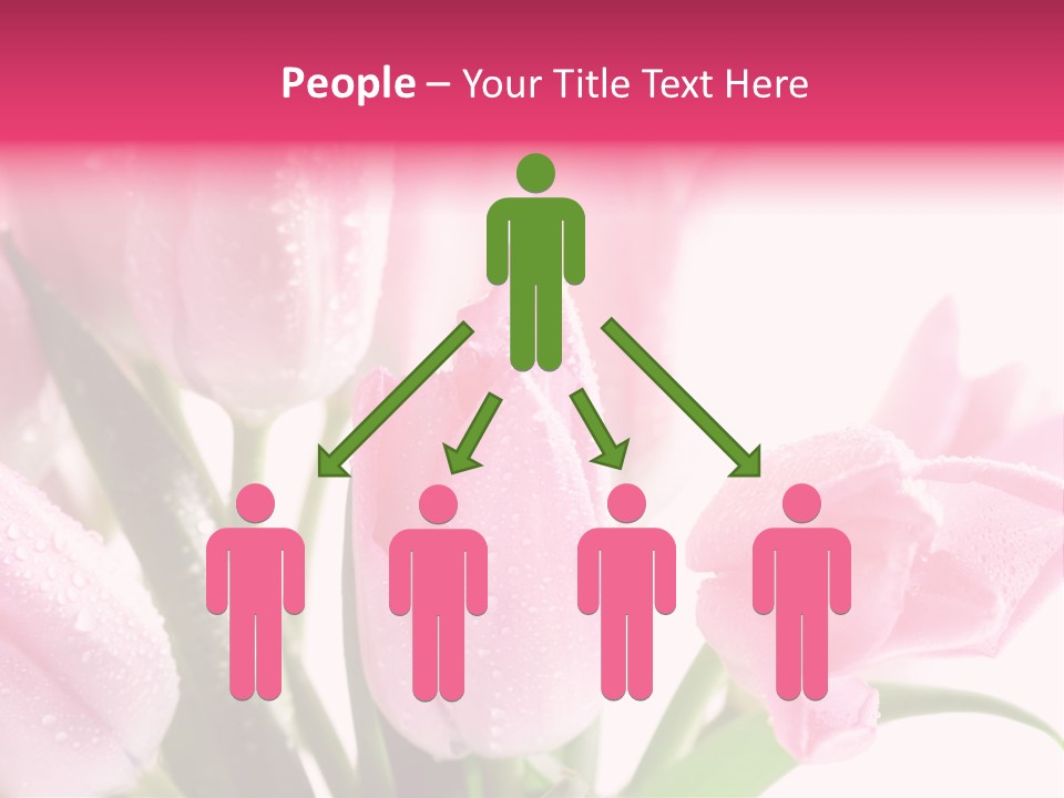 Isolated Macro Pink PowerPoint Template