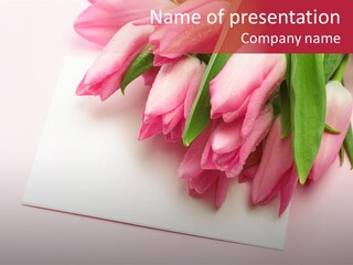 Tulip Copy Invitation PowerPoint Template