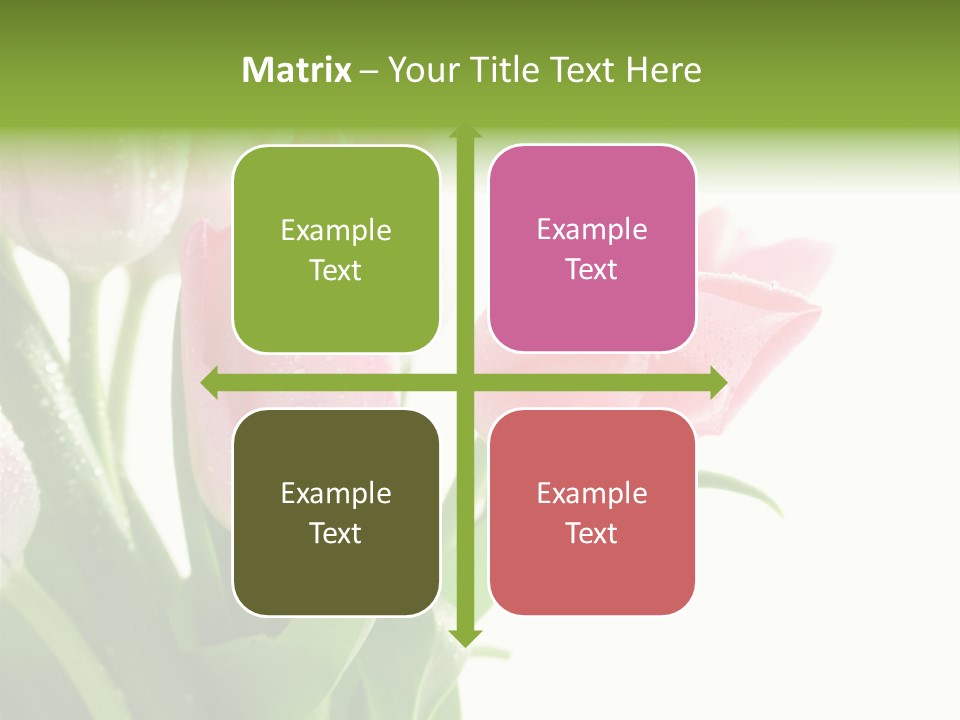 Pink Tulip Purple PowerPoint Template