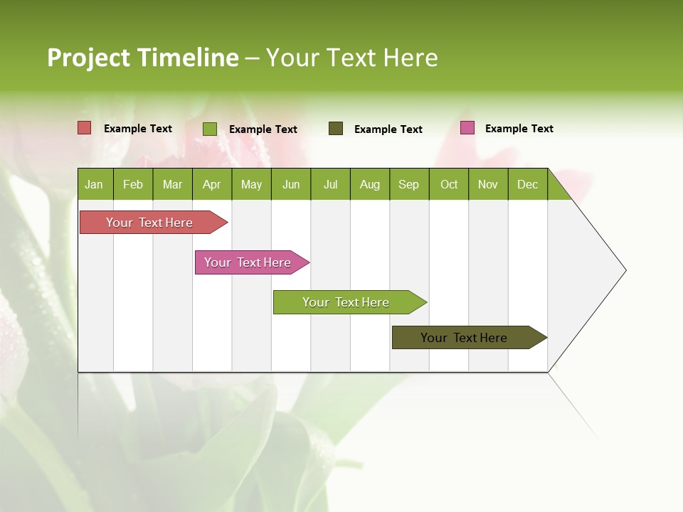 Pink Tulip Purple PowerPoint Template