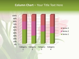 Pink Tulip Purple PowerPoint Template