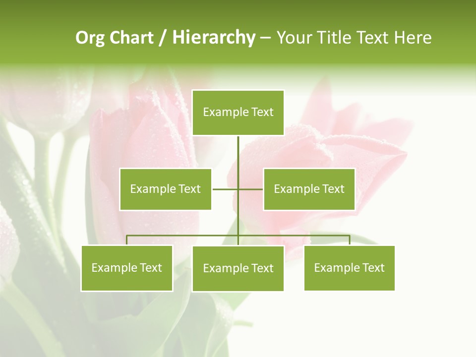 Pink Tulip Purple PowerPoint Template