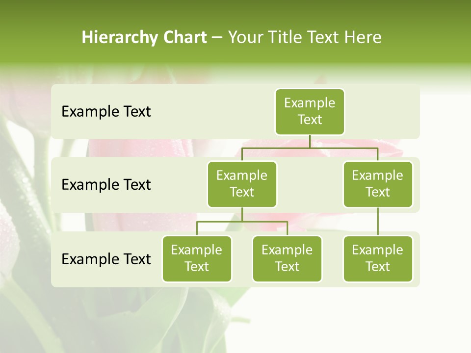 Pink Tulip Purple PowerPoint Template