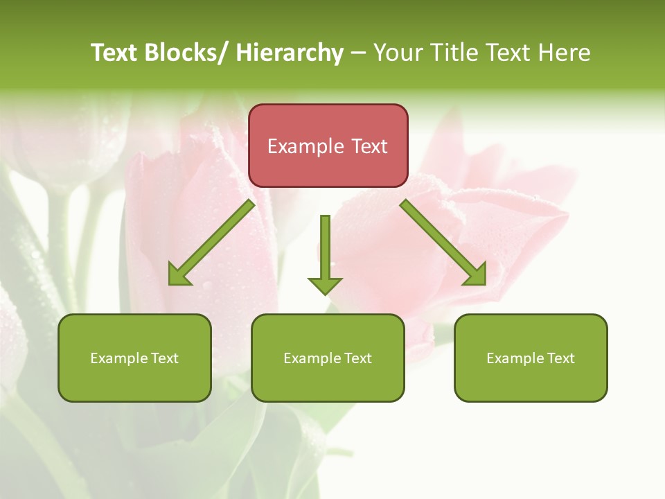 Pink Tulip Purple PowerPoint Template