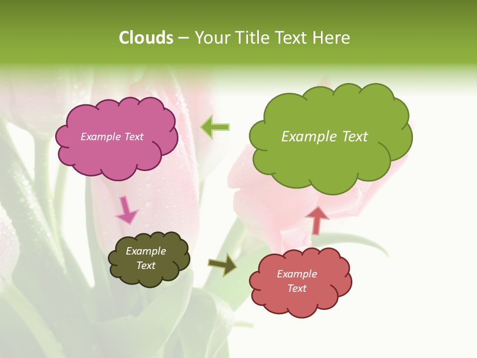 Pink Tulip Purple PowerPoint Template