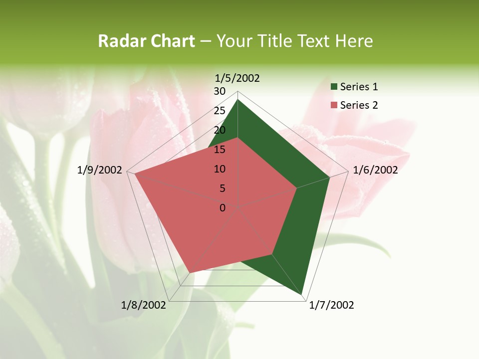 Pink Tulip Purple PowerPoint Template