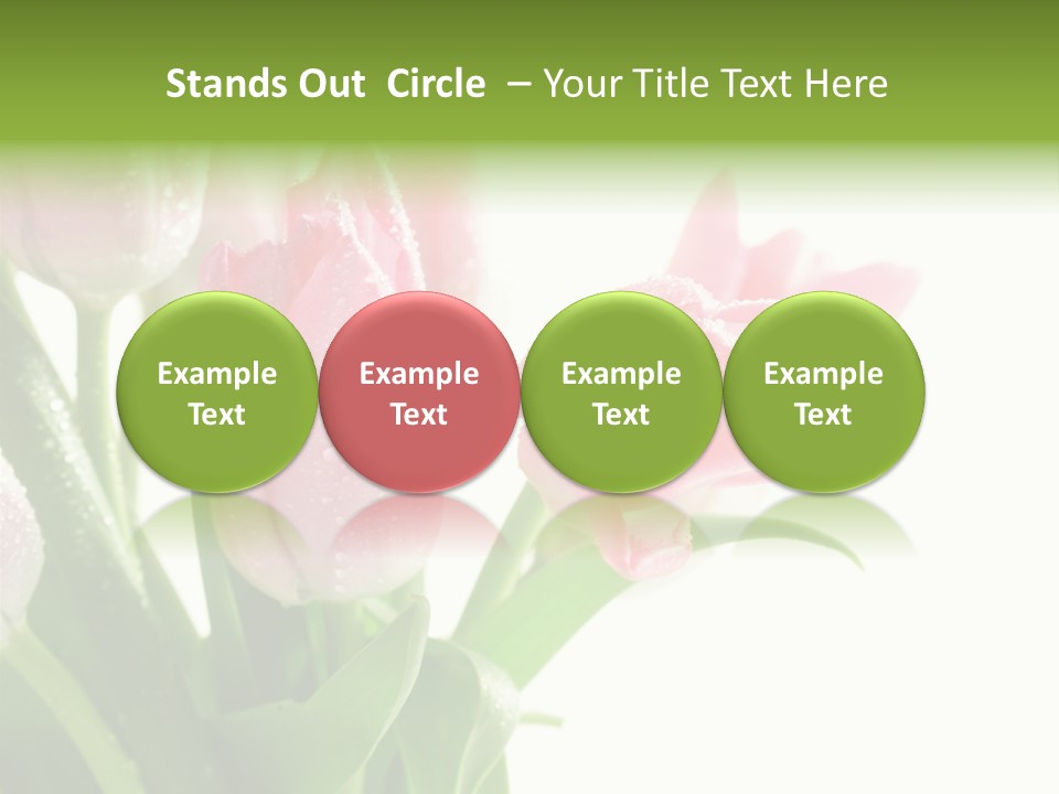 Pink Tulip Purple PowerPoint Template