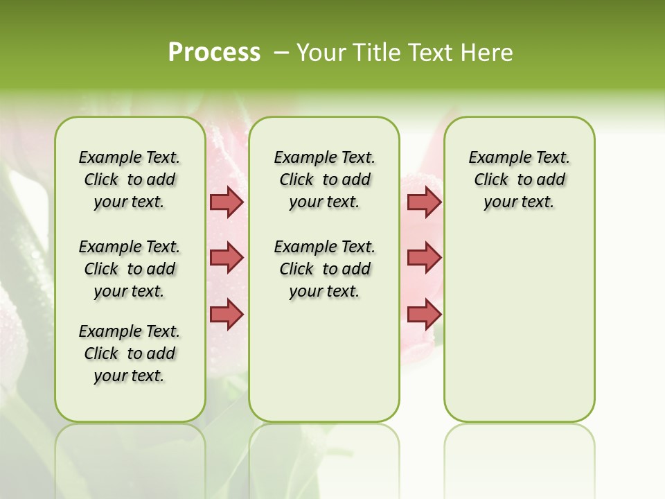 Pink Tulip Purple PowerPoint Template