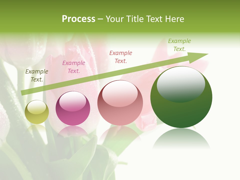 Pink Tulip Purple PowerPoint Template