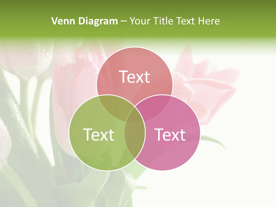 Pink Tulip Purple PowerPoint Template