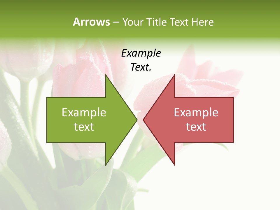 Pink Tulip Purple PowerPoint Template