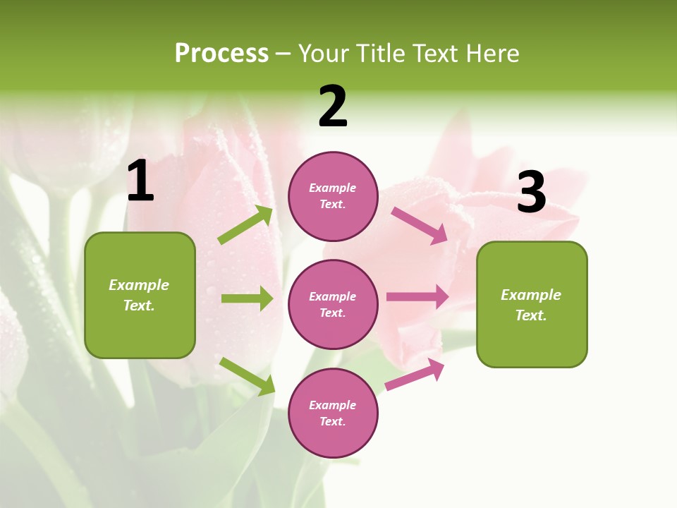 Pink Tulip Purple PowerPoint Template