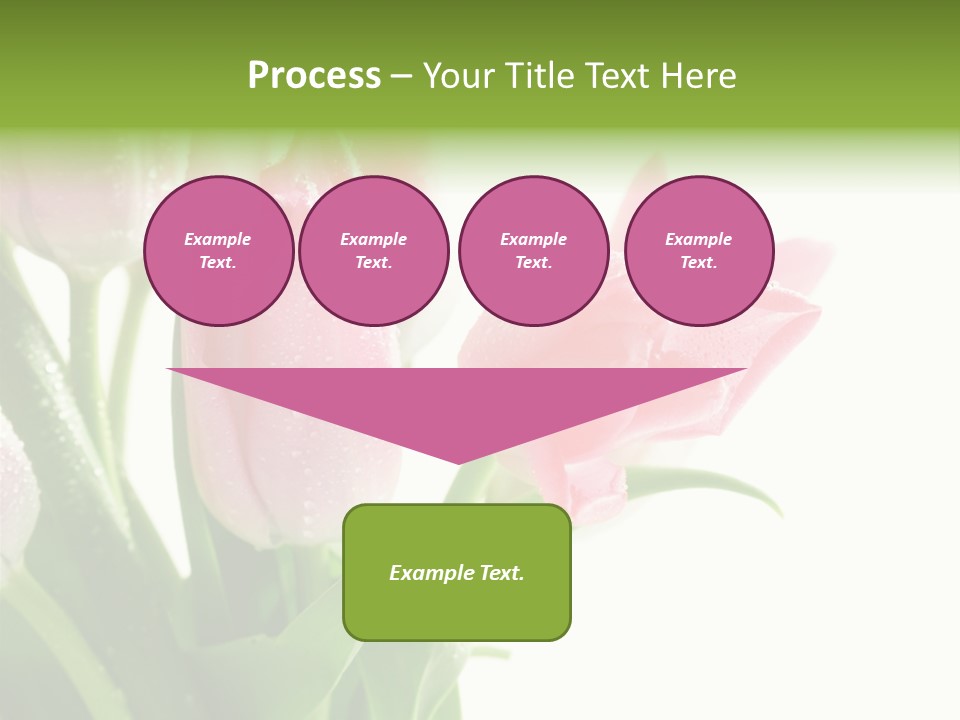 Pink Tulip Purple PowerPoint Template