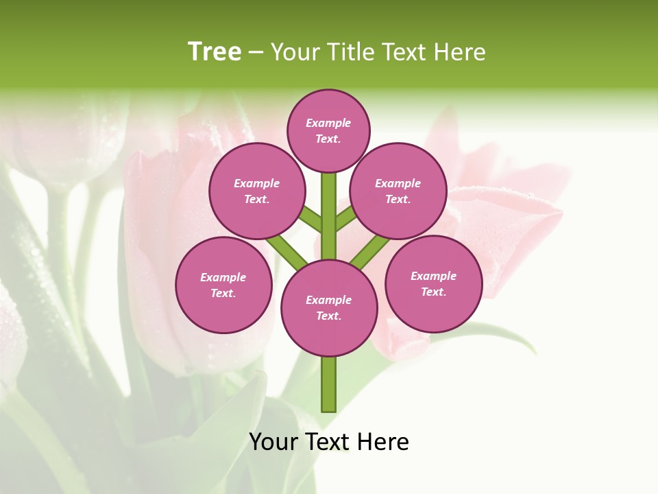 Pink Tulip Purple PowerPoint Template