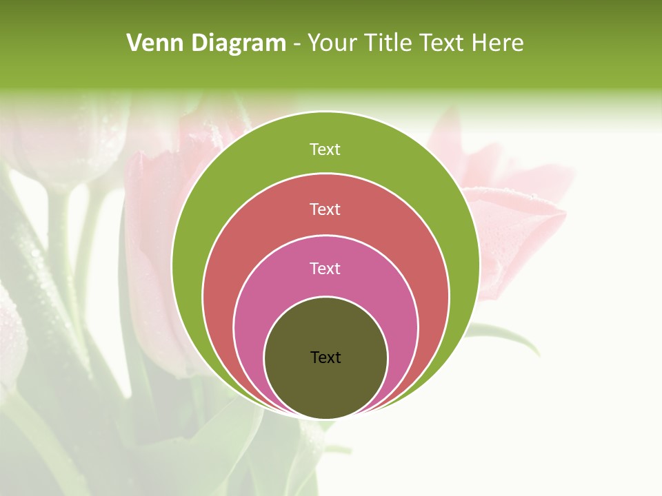 Pink Tulip Purple PowerPoint Template