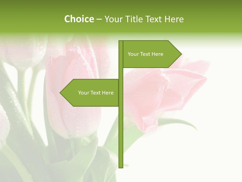 Pink Tulip Purple PowerPoint Template