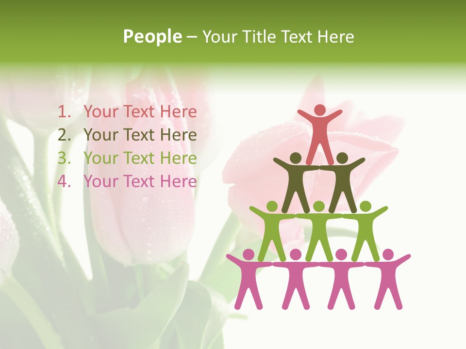 Pink Tulip Purple PowerPoint Template