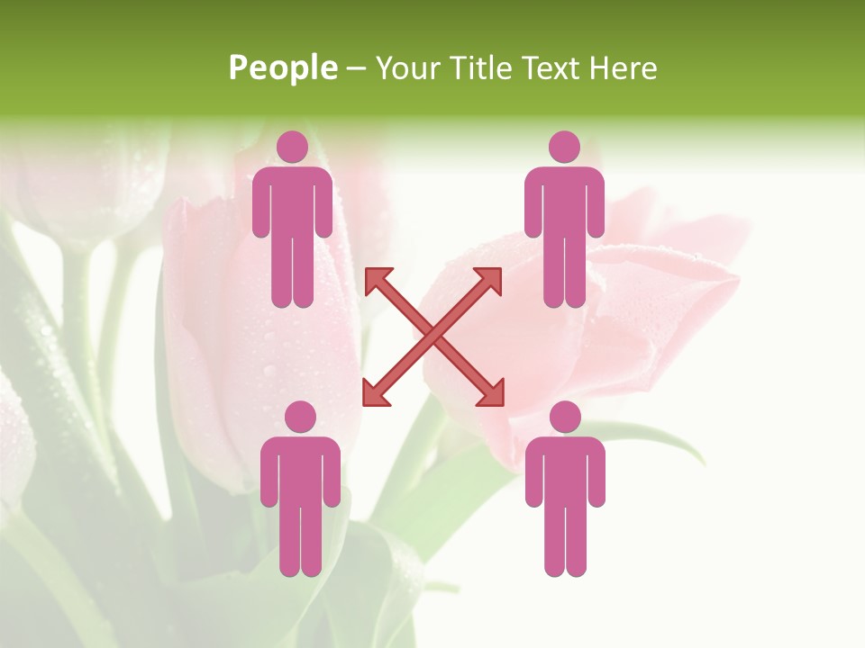 Pink Tulip Purple PowerPoint Template