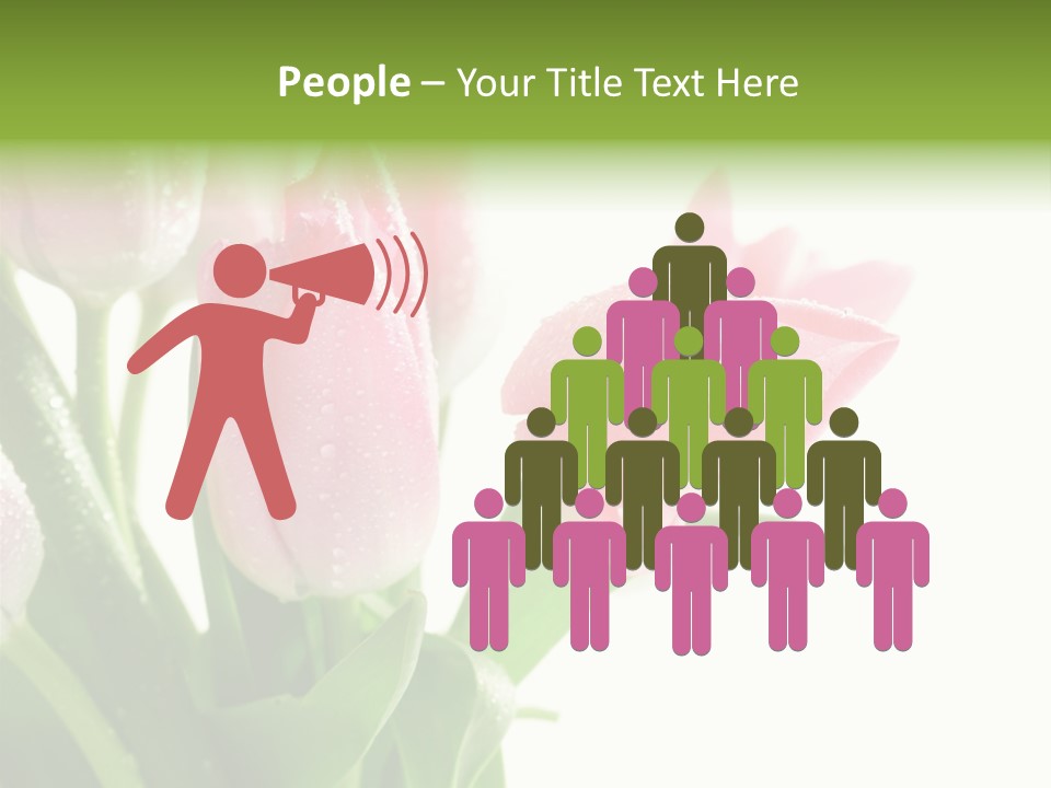 Pink Tulip Purple PowerPoint Template