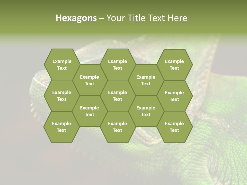 Green Backgrounds Nature PowerPoint Template