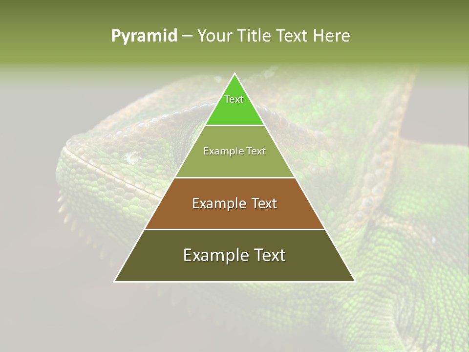 Green Backgrounds Nature PowerPoint Template