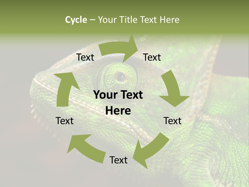 Green Backgrounds Nature PowerPoint Template